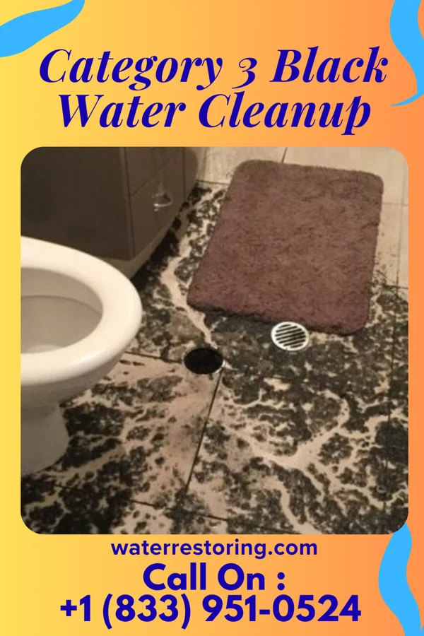 Category 3 Black Water Cleanup in Burchard, NE